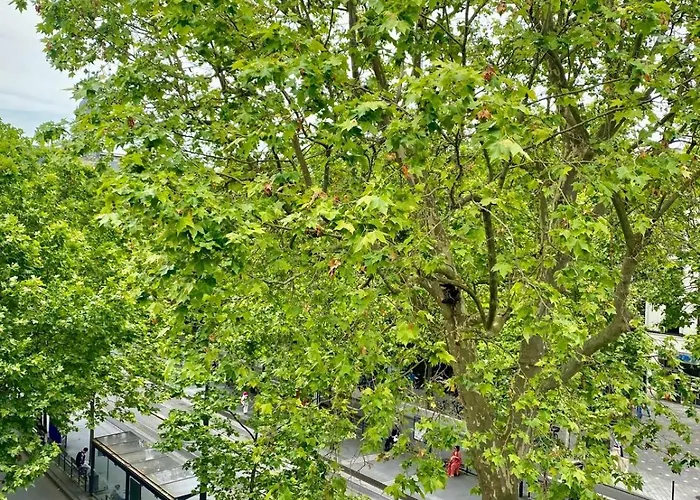 Logement Hyper Centre Jean-jaures 图尔